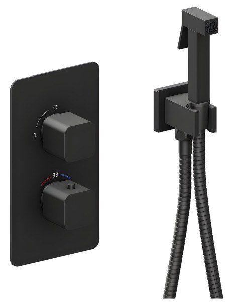 Гигиенический душ Timo Petruma 5089/03SM со смесителем, черный матовый