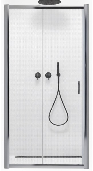 Душевая дверь Radaway Premium Plus DWJ 120 33313-01-06N