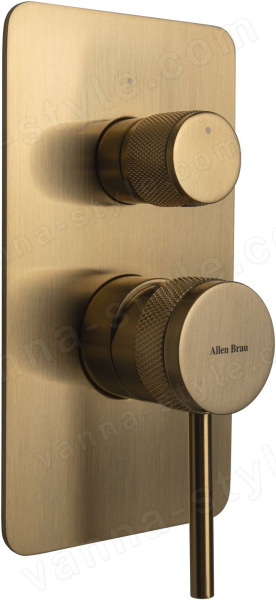Встраиваемый смеситель для ванны Allen Brau Priority 5.31011-GB, золото брашированное