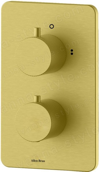 Встраиваемый смеситель для ванны Allen Brau Priority 5.3U123-GB, золото брашированное