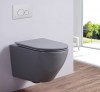 Унитаз Esbano Azalea Серый матовый