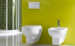 Унитаз подвесной Jacob Delafon Odeon up