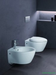 Унитаз подвесной Jacob Delafon Presqu'ile