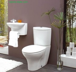 Унитаз напольный Jacob Delafon Presquile