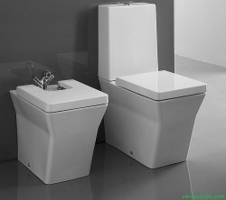 Унитаз напольный Jacob Delafon Reve