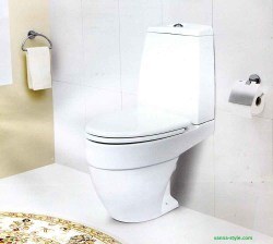 Напольный унитаз Am.Pm Bliss