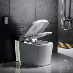 Электронный унитаз Orans IT-803JAD