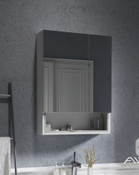 Зеркальный шкаф Alavann Lion