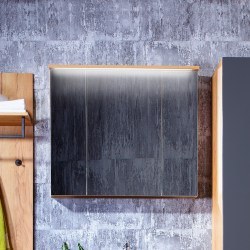 Зеркальный шкаф Бриклаер Форест 80