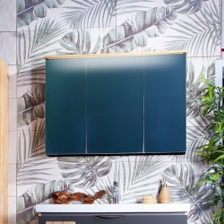 Зеркальный шкаф Бриклаер Форест 100