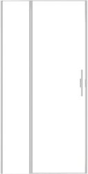 Душевая дверь Allen Brau Priority 3.31005.BA 100x200 распашная, профиль серебро