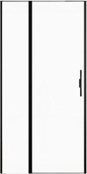 Душевая дверь Allen Brau Priority 3.31030.BBA 100x200 распашная, профиль черный браш