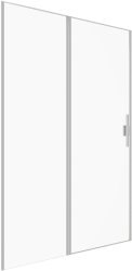 Душевая дверь Allen Brau Priority 3.31032.BA 120x200 распашная, профиль серебро