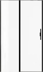 Душевая дверь Allen Brau Priority 3.31033.BBA 120x200 распашная, профиль черный браш