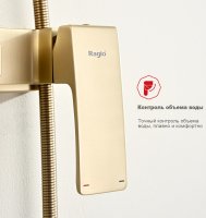 Душевая система Raglo R01 R01.24.03, сатин золотой