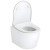 Подвесной унитаз TOTO RP CW554Y
