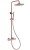 Душевая система Abber Wasser Kreis AF8160RG, розовое золото