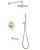 Душевая система Abber Emotion AF8817G, матовое золото