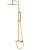 Душевая система Boheme Stick 128-MG с изливом, матовое золото