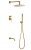 Душевая система Boheme Uno 464-2-MG с изливом, матовое золото
