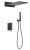 Душевая система Timo Briana SX-7139/03SM, черная матовая