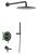 Душевая система Timo Saona SX-2379/03SM с изливом, черная матовая