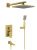 Душевая система Timo Selene SX-3069/17SM, матовое золото