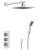 Душевая система Timo Tetra-Thermo SX-0179/00SM, хром