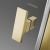 Душевая дверь Radaway Nes Brushed Gold DWJ I 70 L, профиль золото