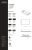 Раковина Disegno Ceramica Slim SS06038055 60x38, в цвете beaver