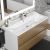 Раковина Uperwood Family 293020631 100x45, белая глянцевая