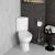 Унитаз-компакт VitrA Arkitekt 9754B003-7200, белый с сиденьем и бачком